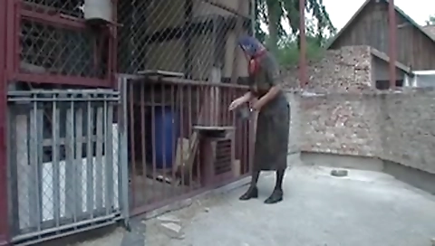 Farmers granny 4